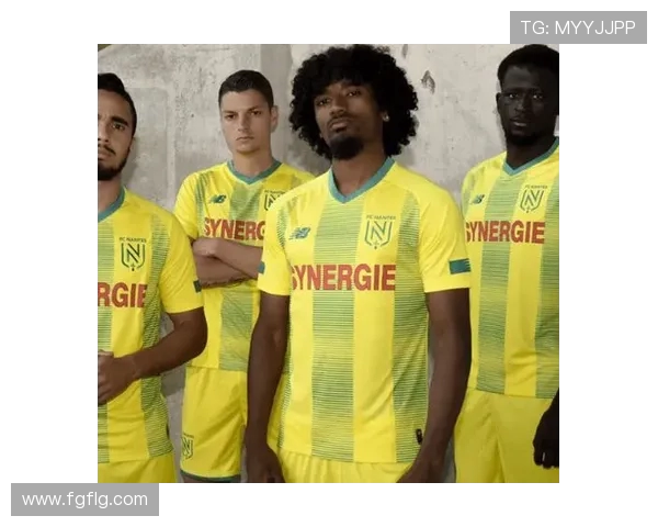 里尔与南特实力对比分析哪支球队更具竞争力与潜力